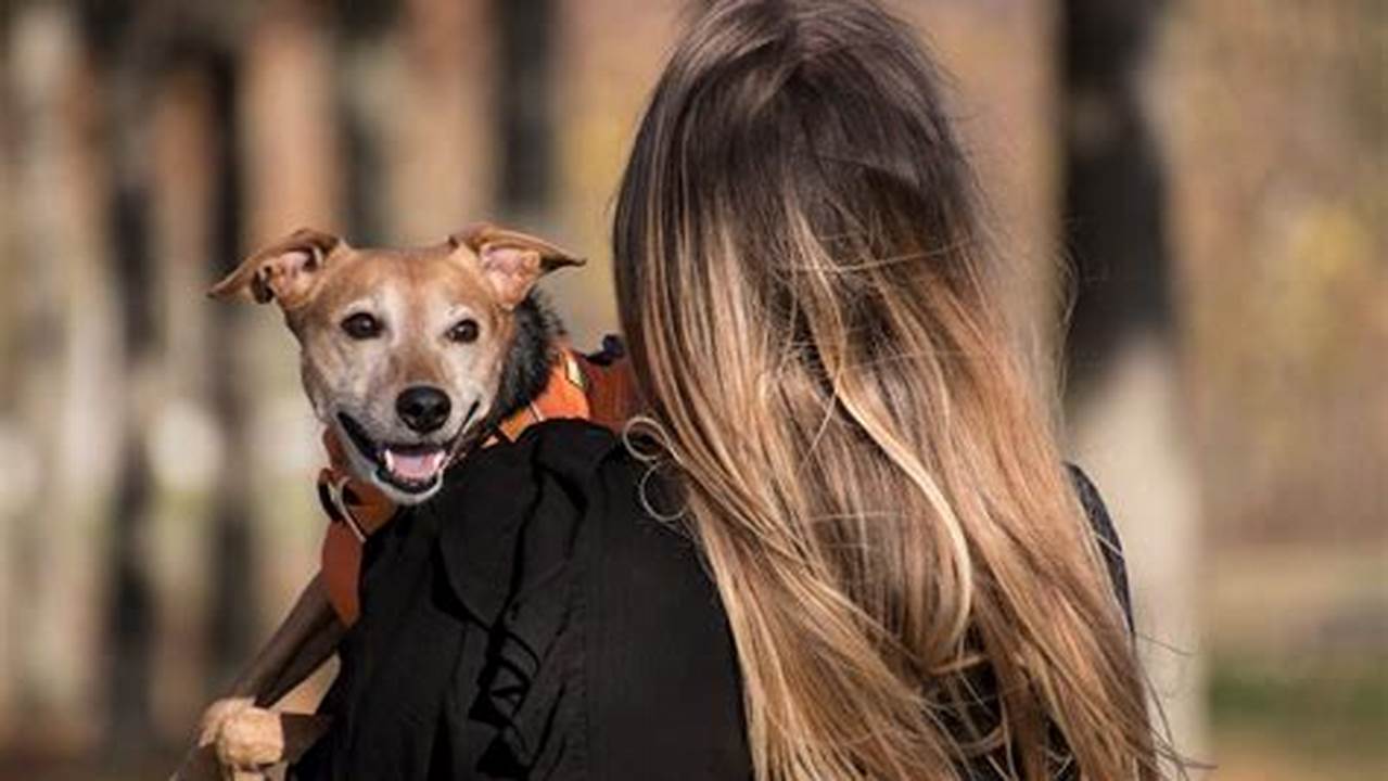 This Day Encourages Pet Owners To Renew Their Bond., 2024