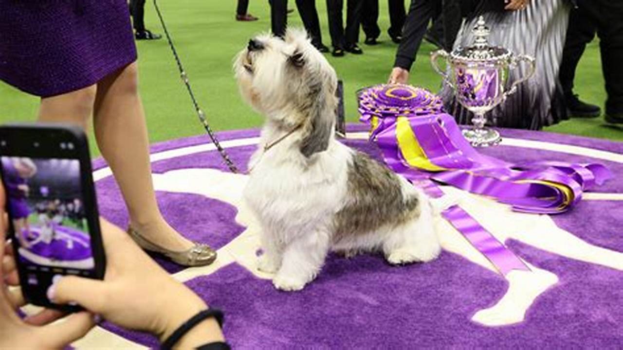 Tickets To The Westminster Dog Show 2024