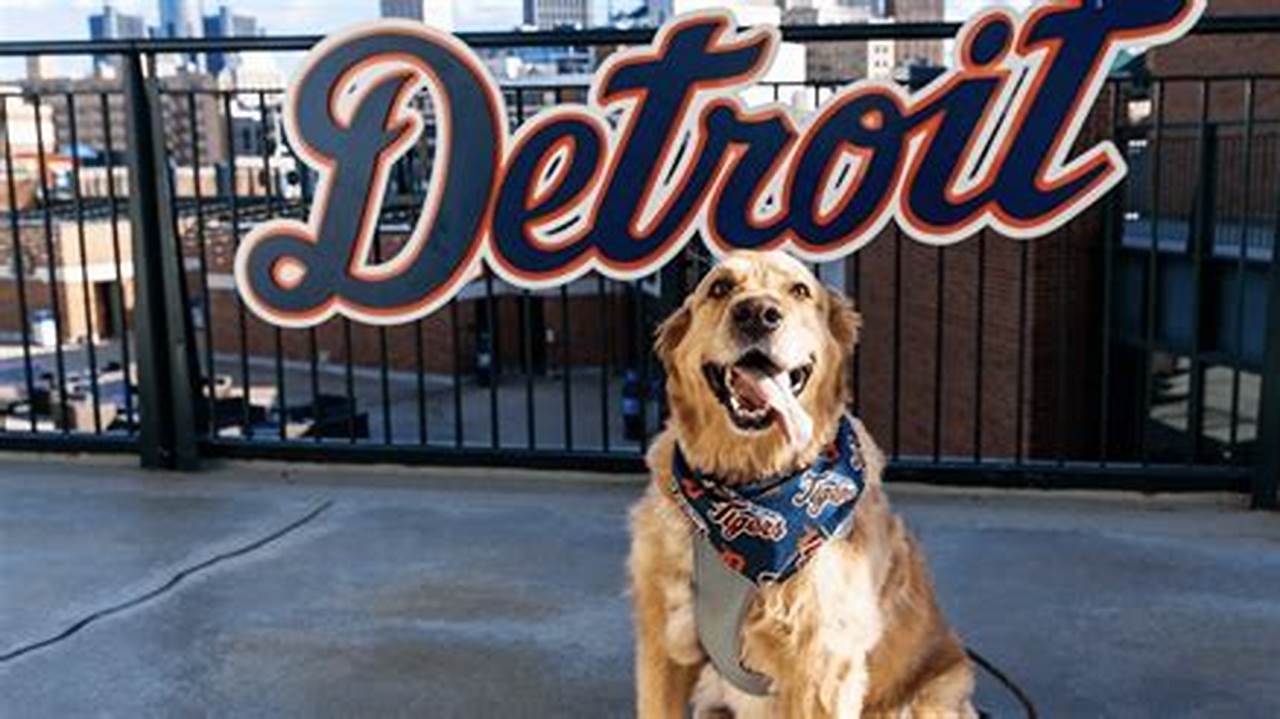 Tigers Bark In The Park 2024