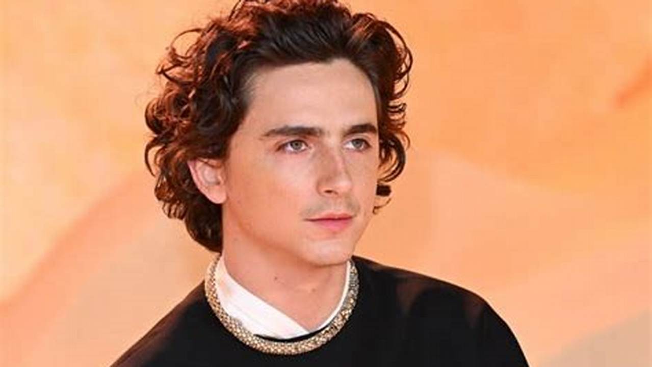 Timothée Chalamet Becomes Bob Dylan In First Photo From Biopic Set., 2024
