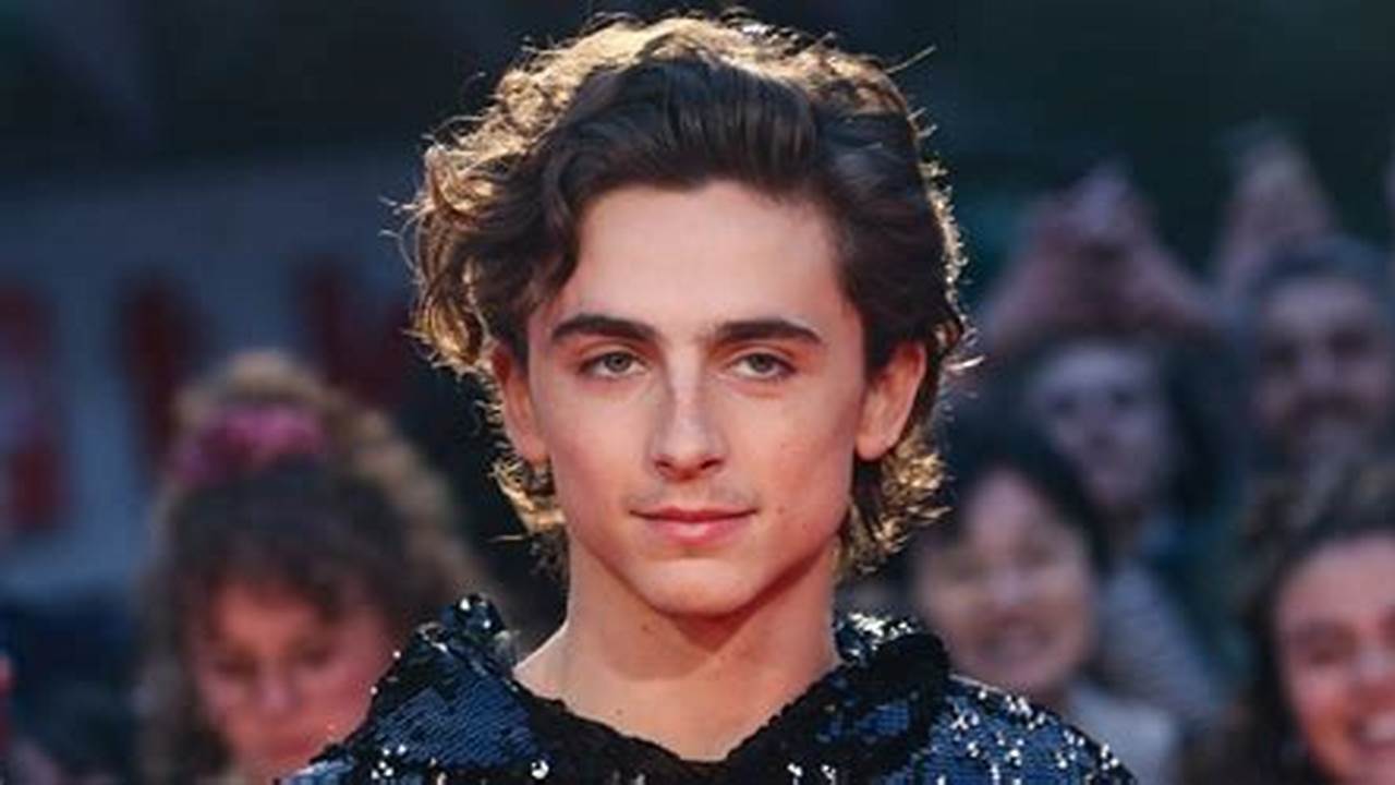 Timothee Chalamet Movies 2024