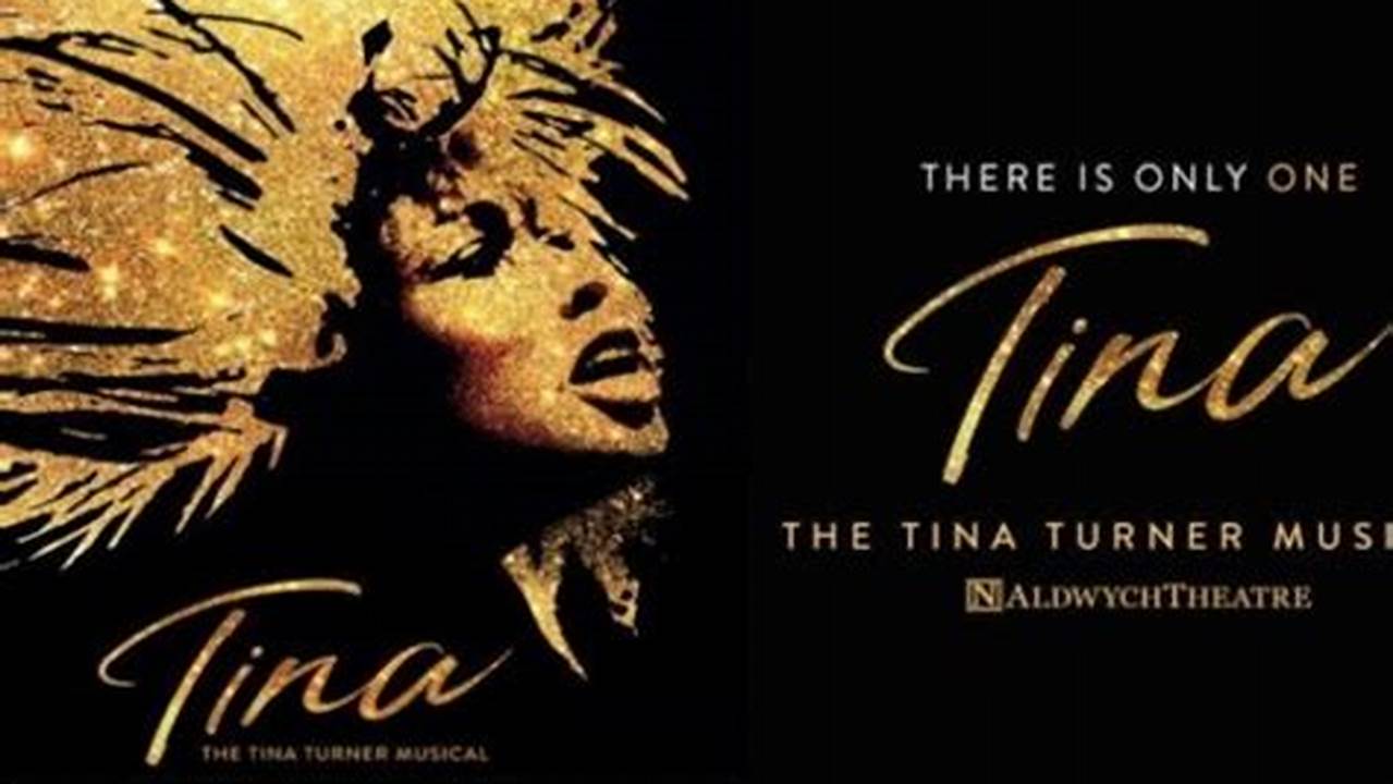 Tina Turner Tickets 2024