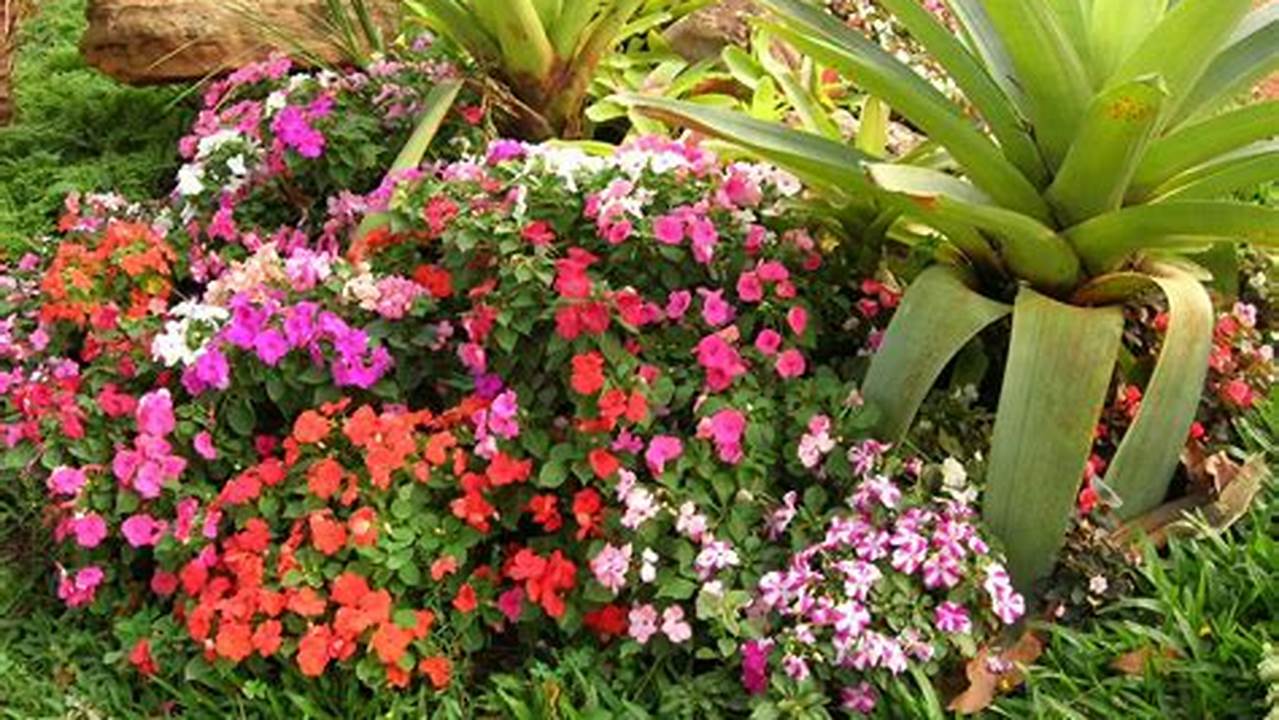 Tipos De Plantas Com Flores Para Jardim