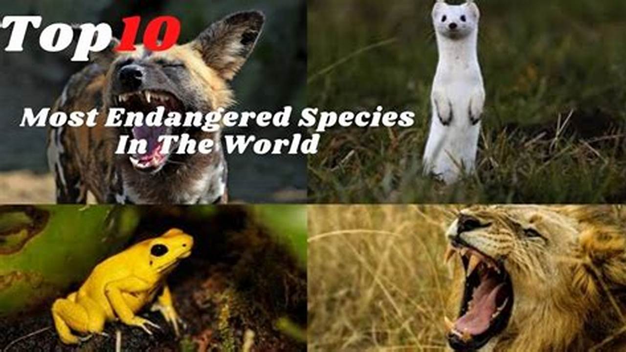 Top 10 Endangered Animals 2024 Uk