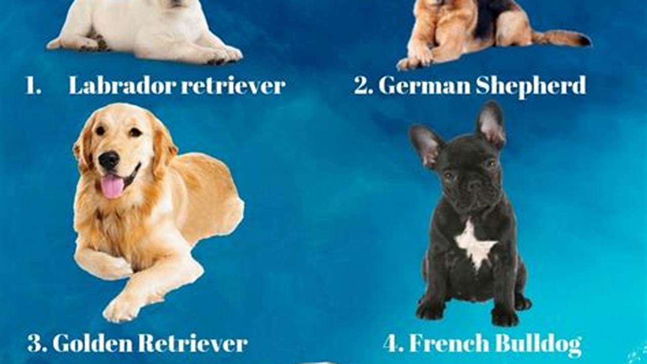 Top Dog Breeds In America 2024
