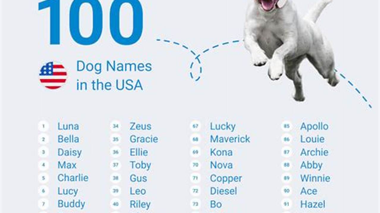 Top Male Dog Names 2024