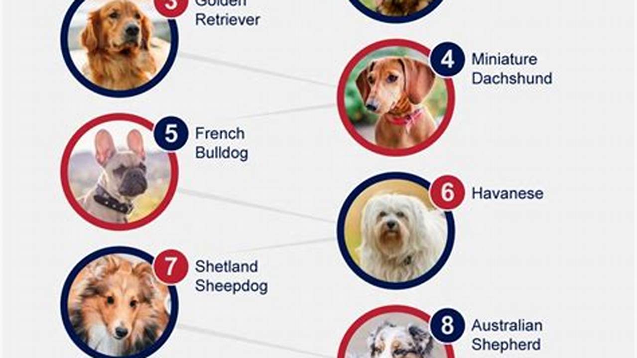 Top Ten Dog Breeds 2024