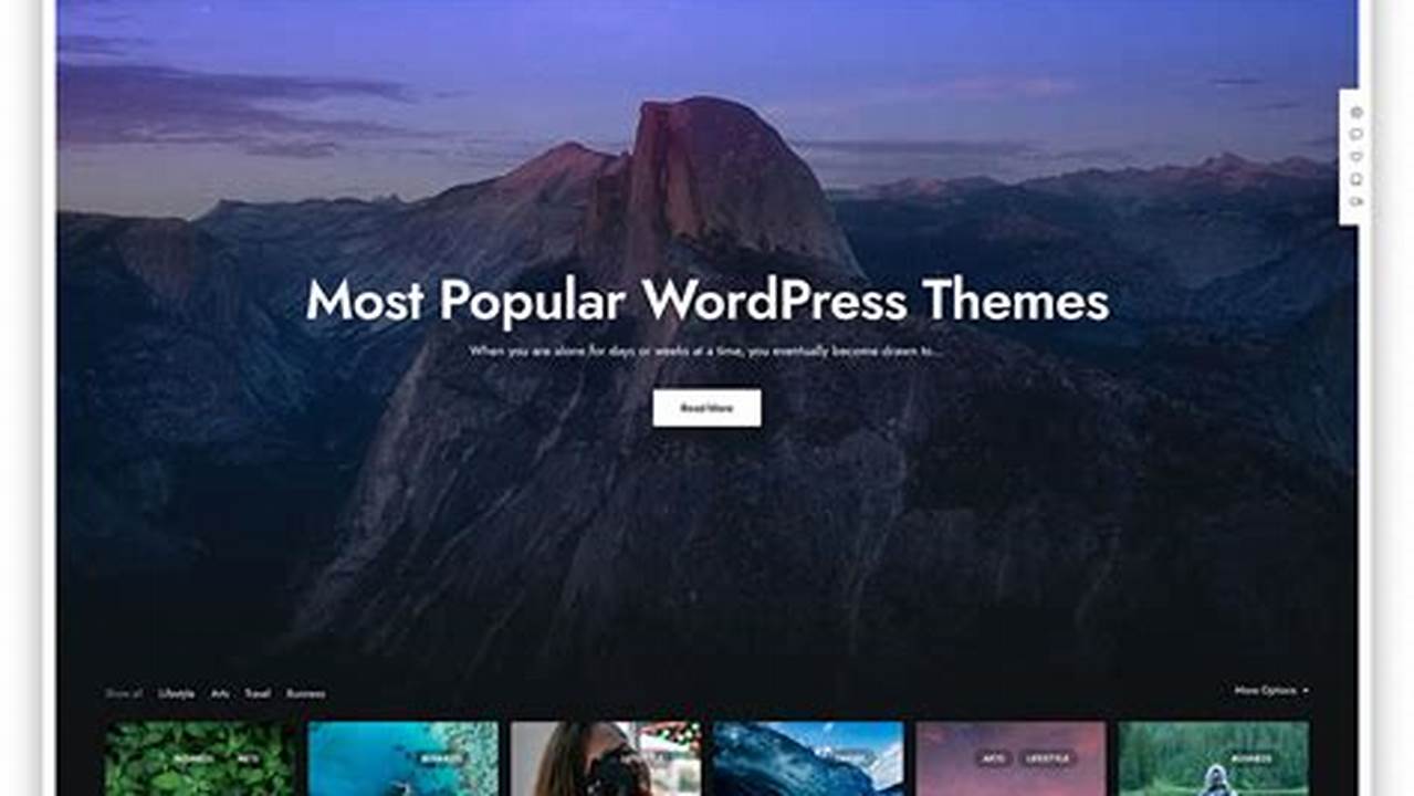 Top WordPress Themes 2024