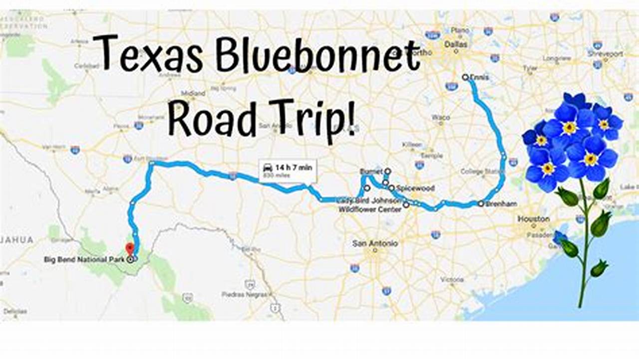Tour Of Texas 2024