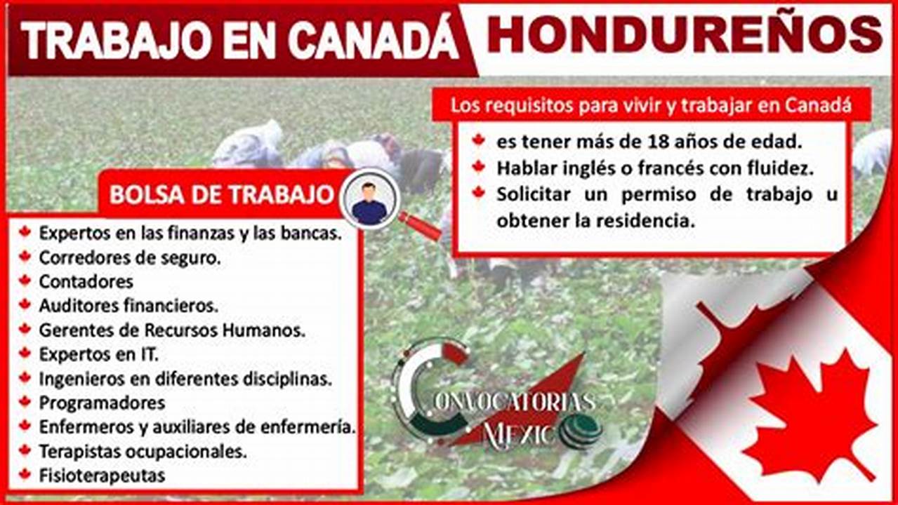 Trabajo En Canadá Para HondureñOs 2024