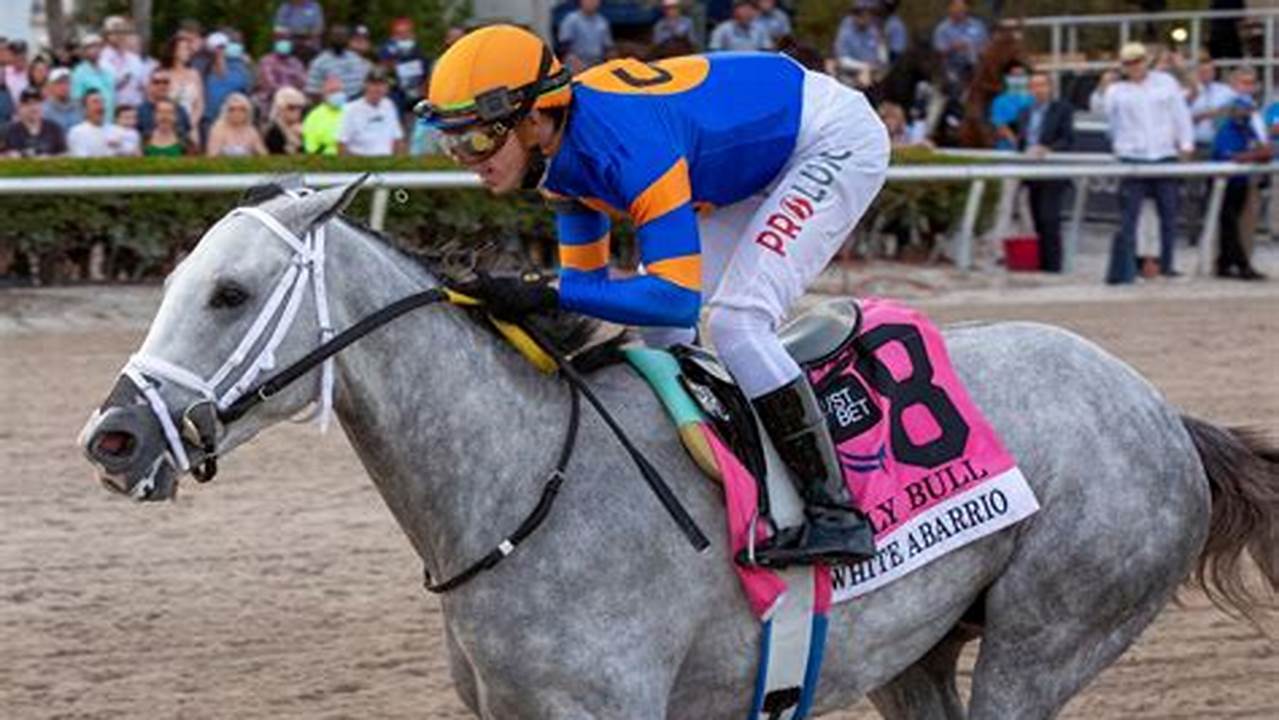 Track The 2024 Derby Contenders With Us Here At Horse Racing Nation!, 2024