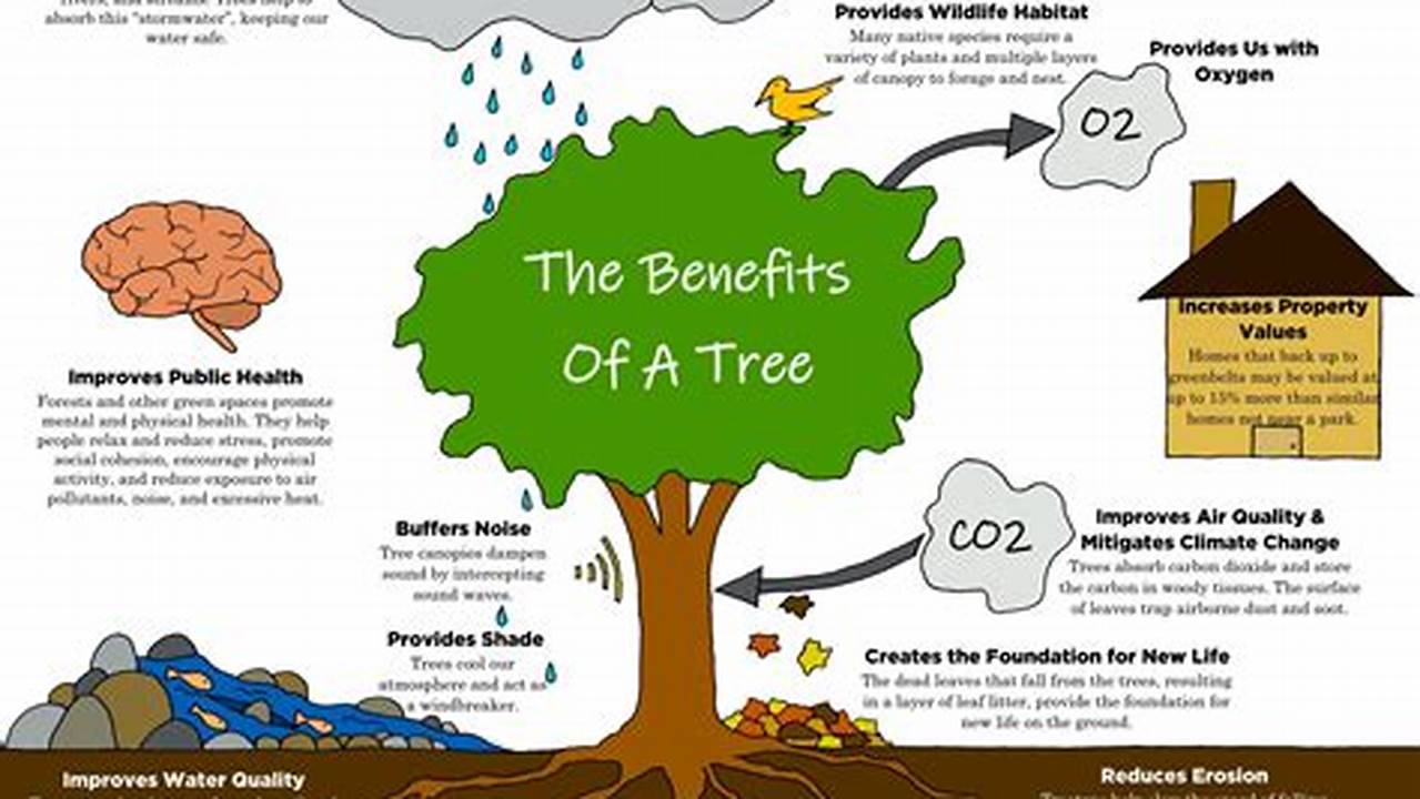 Trees Have Many Benefits For The Neighborhood, The Community, And The Environment., 2024