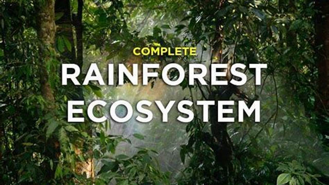 Tropical Rainforests Contain Rich Biodiversity Of Animals And Plants, Many Of Which Are Unique To These Ecosystems., Images