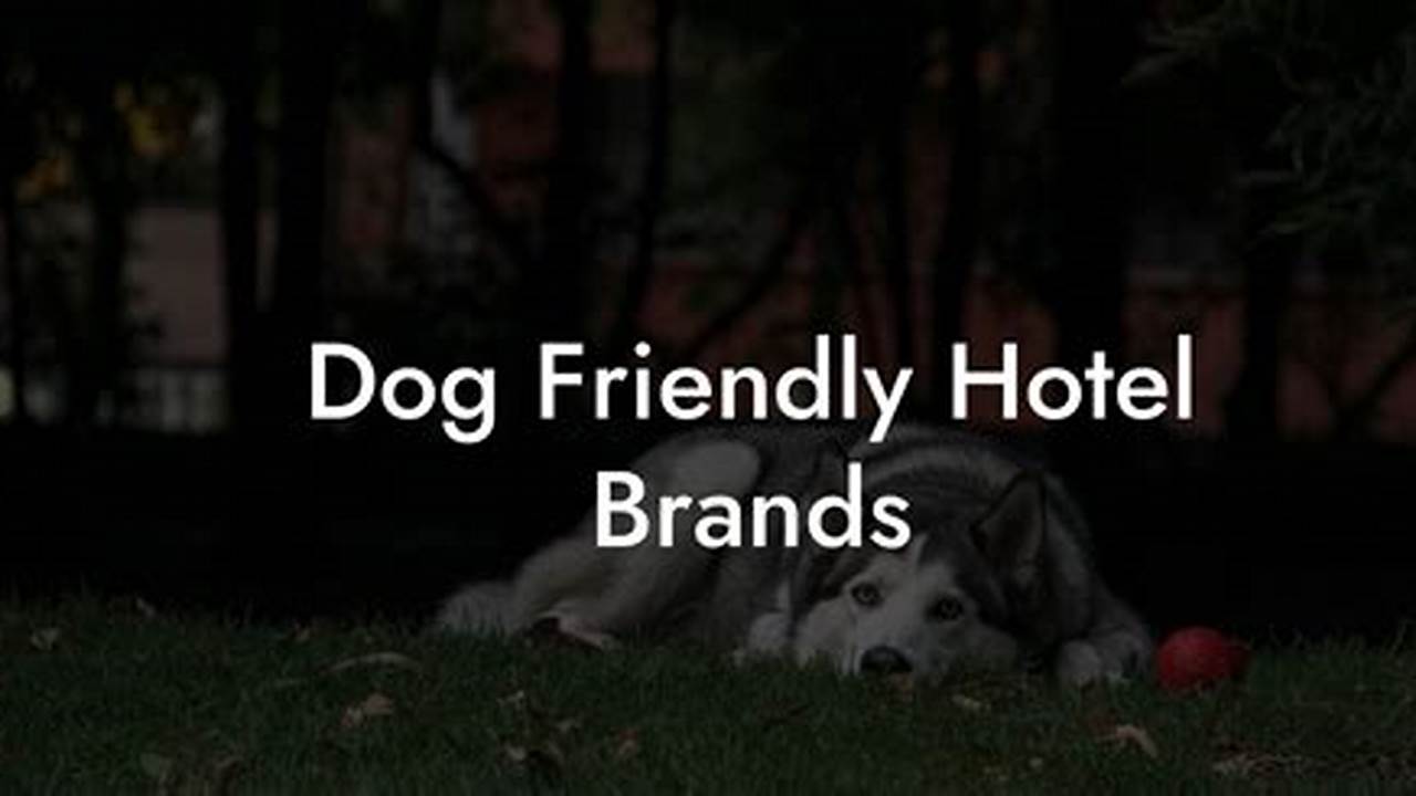 Trusted Brand, Pet Friendly Hotel