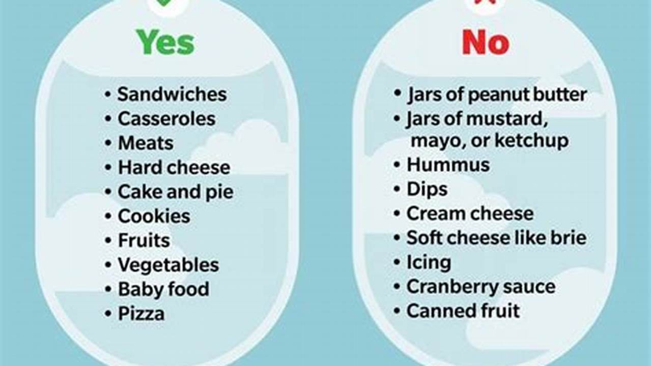 Tsa Food Rules 2024