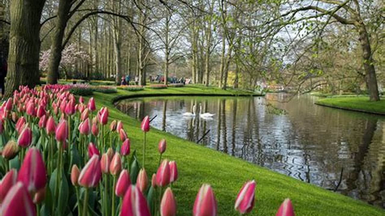 Tulip Time Amsterdam 2024
