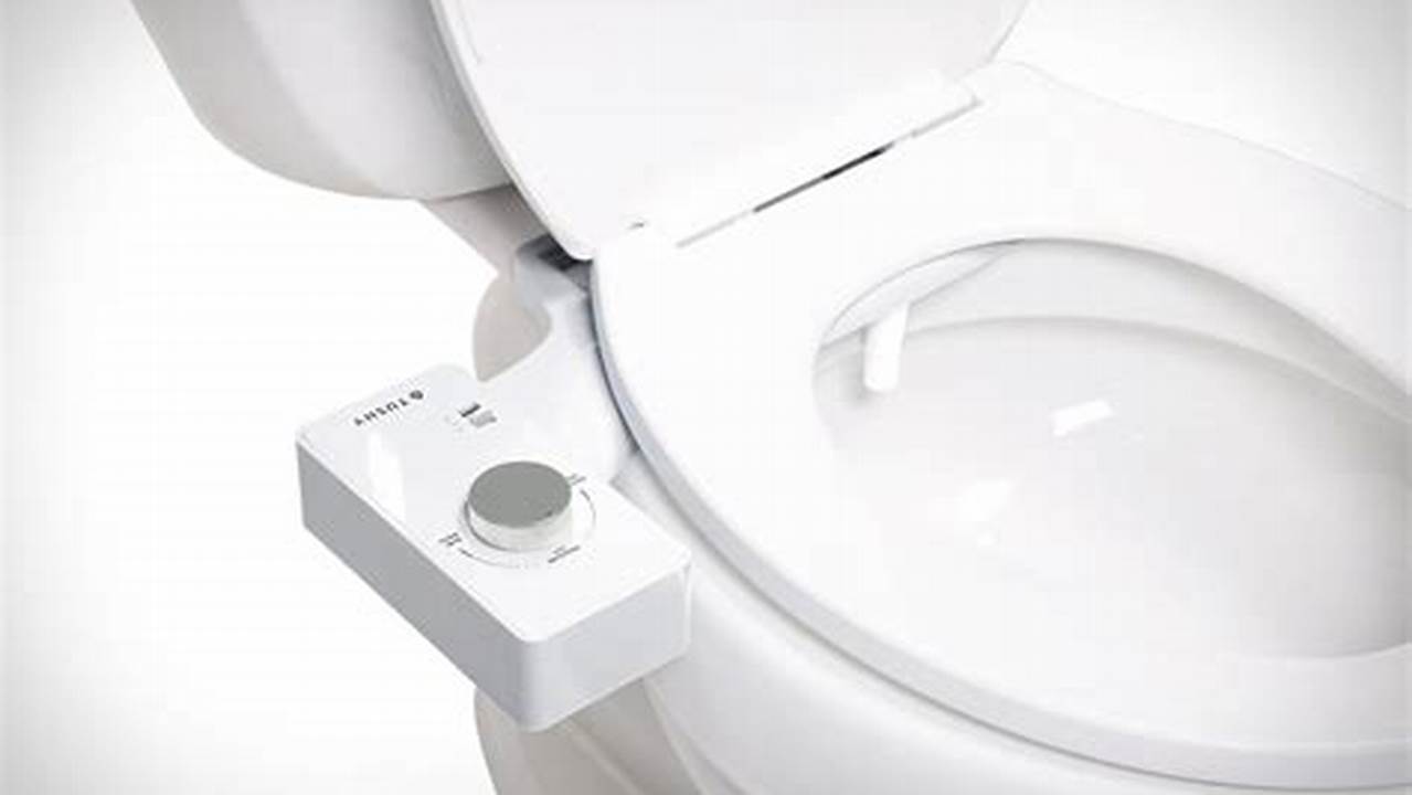 Tushy Classic 3.0 Bidet, $109., Images