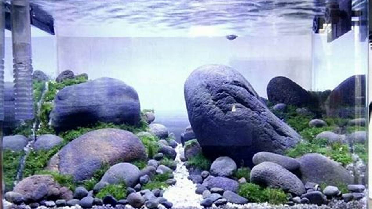 Ukuran Batu, Aquascape