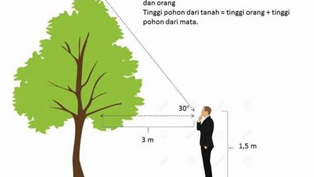 Ukuran Dan Panjang, Tanaman