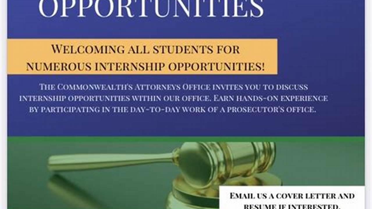 Undergraduate Law Internships Fall 2024