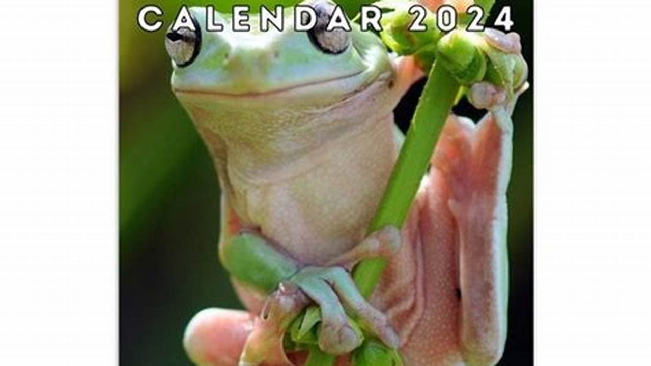 Ung Frog Week 2024 Schedule