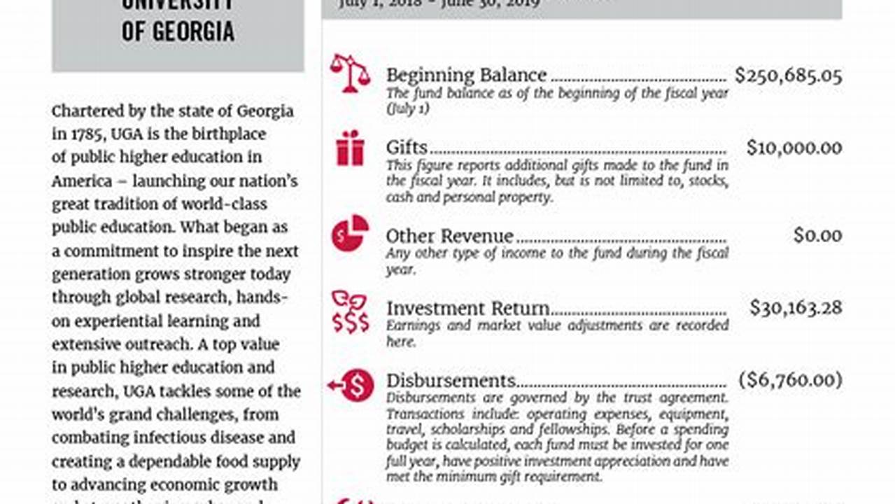 University Of Georgia Endowment 2024