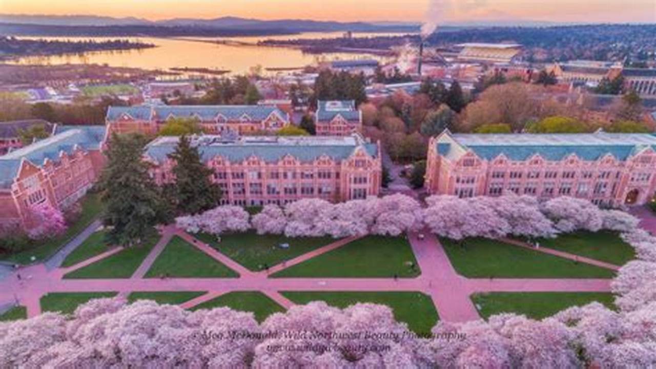 University Of Washington [ March 18 Update, 2024