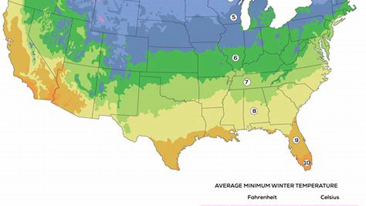 Us Plant Hardiness Zones 2024au