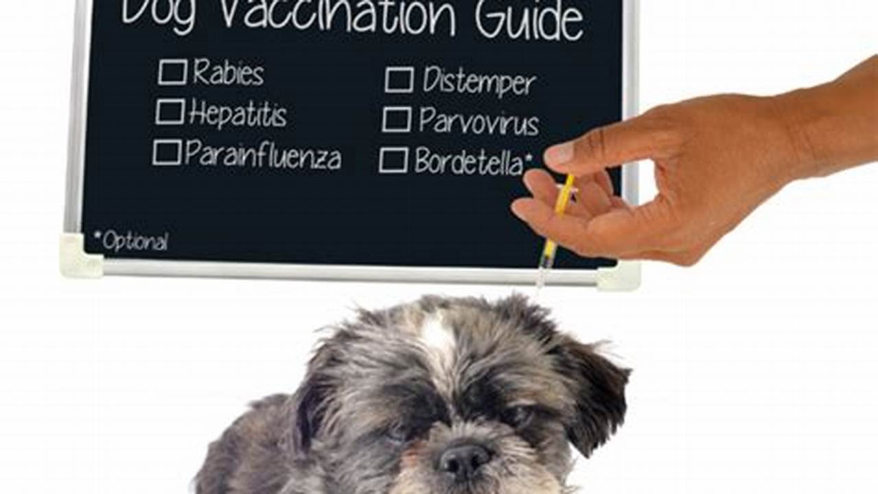 Vaccination Requirements, Pet Friendly Hotel