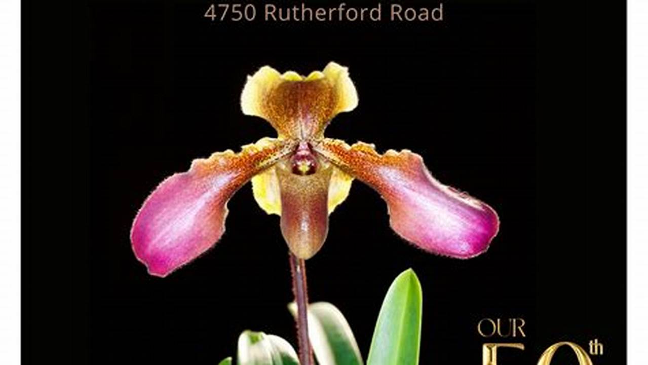 Vancouver Orchid Show 2024