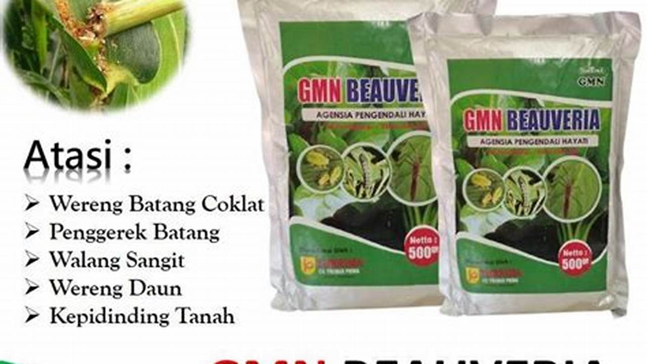 Varietas Putih, Tanaman Obat Keluarga