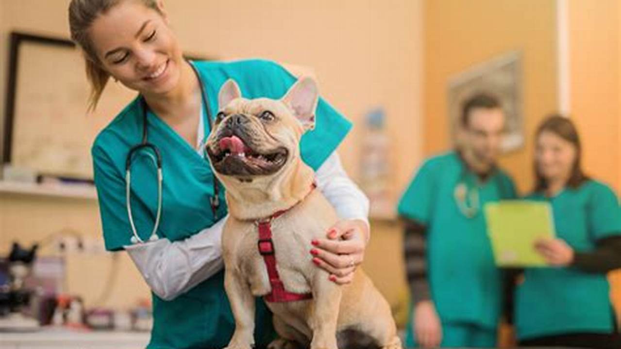 Veterinary Care, Pet