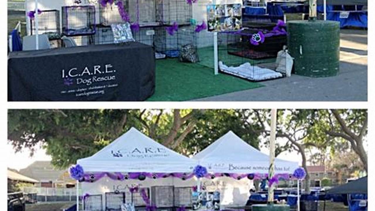 Visit Our Booth To Meet Adoptable Dogs, Cats, And Kittens, Learn About The Resources We Provide, And Ways That You Can Get Involved., 2024