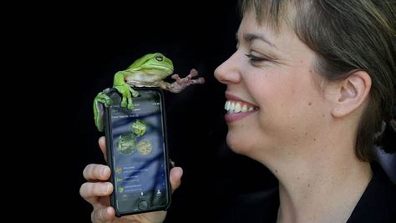 Visit The Frogid Website To View Australia’s Top Froggers On., 2024