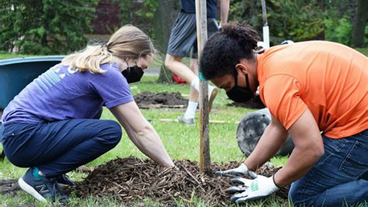 Volunteers Will Plant Approximately 60 Trees Along South 26Th Street In Lafayette., 2024