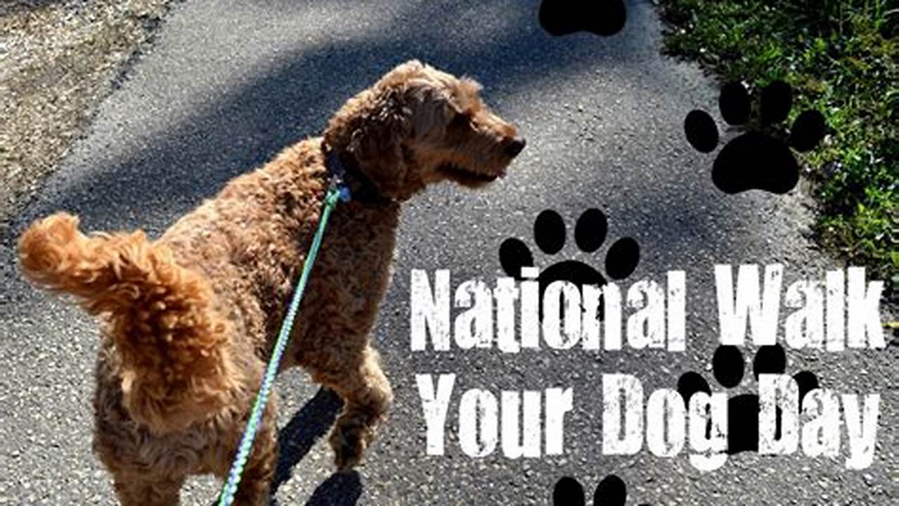 Walk Your Dog Day 2024