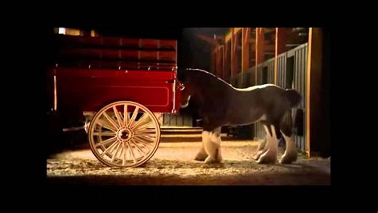 Was There A Budweiser Clydesdale Commercial 2024