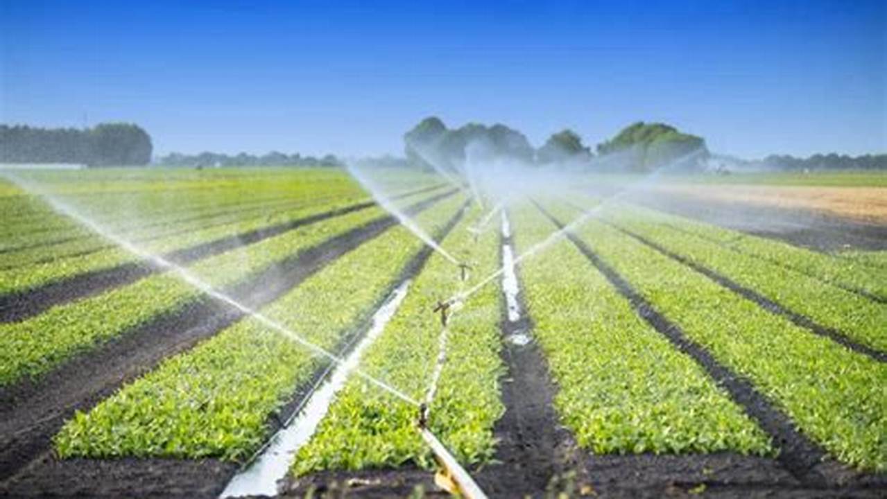 Water Management, Farming Practices