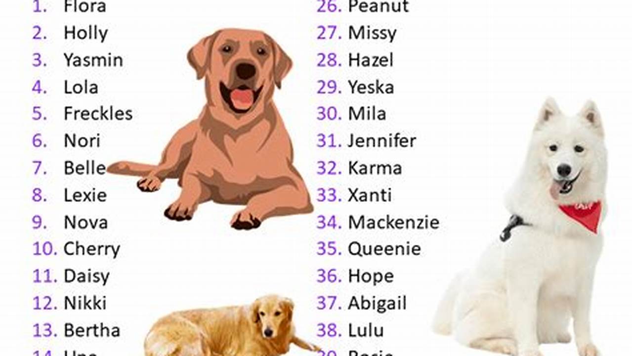 We’ve Put Together A List Of The Best Female Dog Names To Help Inspire You., 2024