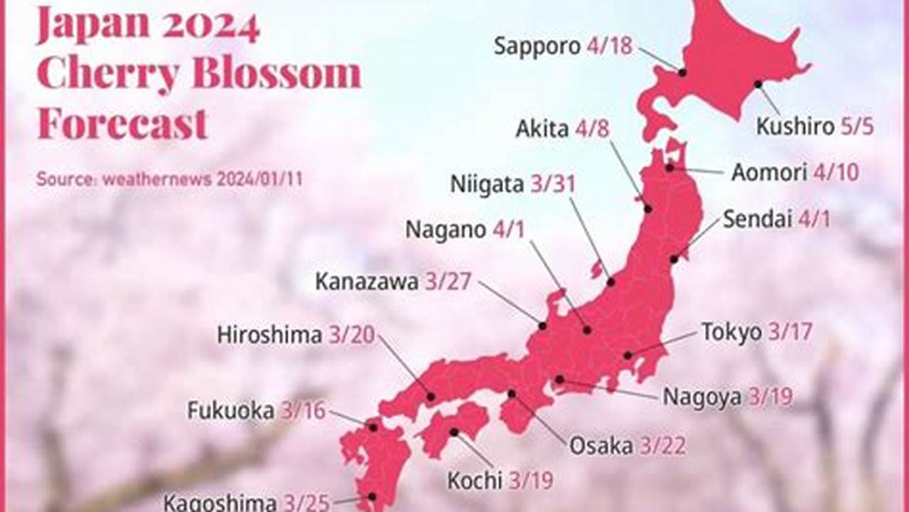 We Introduce The Cherry Blossom Forecast From Hokkaido To Okinawa , Based On The Latest Regional Blossom Forecasts., 2024