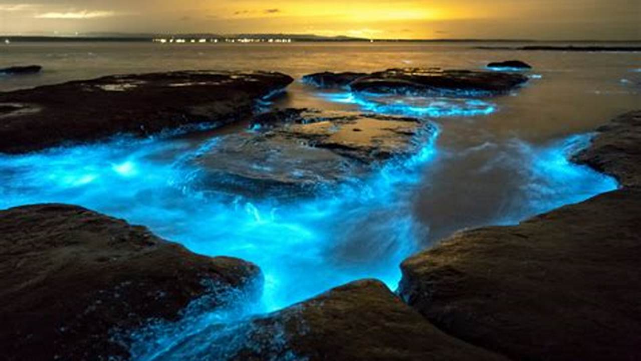 Welcome To The World Of Dazzling Beaches, Glowing Neon, Pulsating., 2024