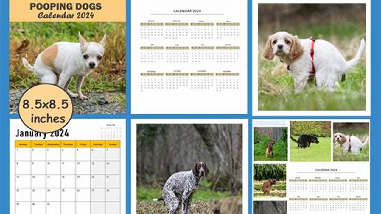 Well Look No Further Because We Dropped Our 2024 Dogs In Beautiful Places Calendar!, 2024