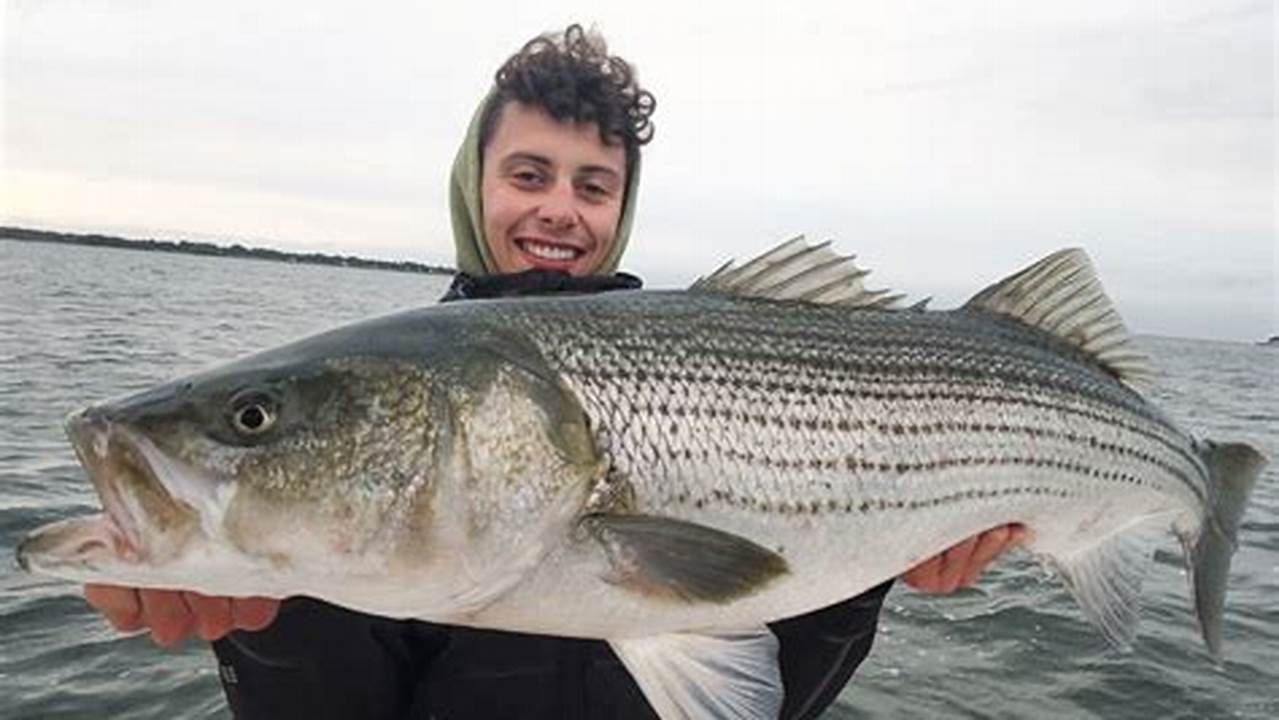 Western Long Island Sound Charity Fishing Tournament Emphasizing Catch And Release, Has Prizes And Separate Categories And Trophies For The Largest Striped Bass (1St, 2Nd, 3Rd), Largest Bluefish, Largest Fish On Fly, Most Unusual Catch, And Largest Fish Caught On A Barbie Rod (Or Similar Approved By Judges)., 2024