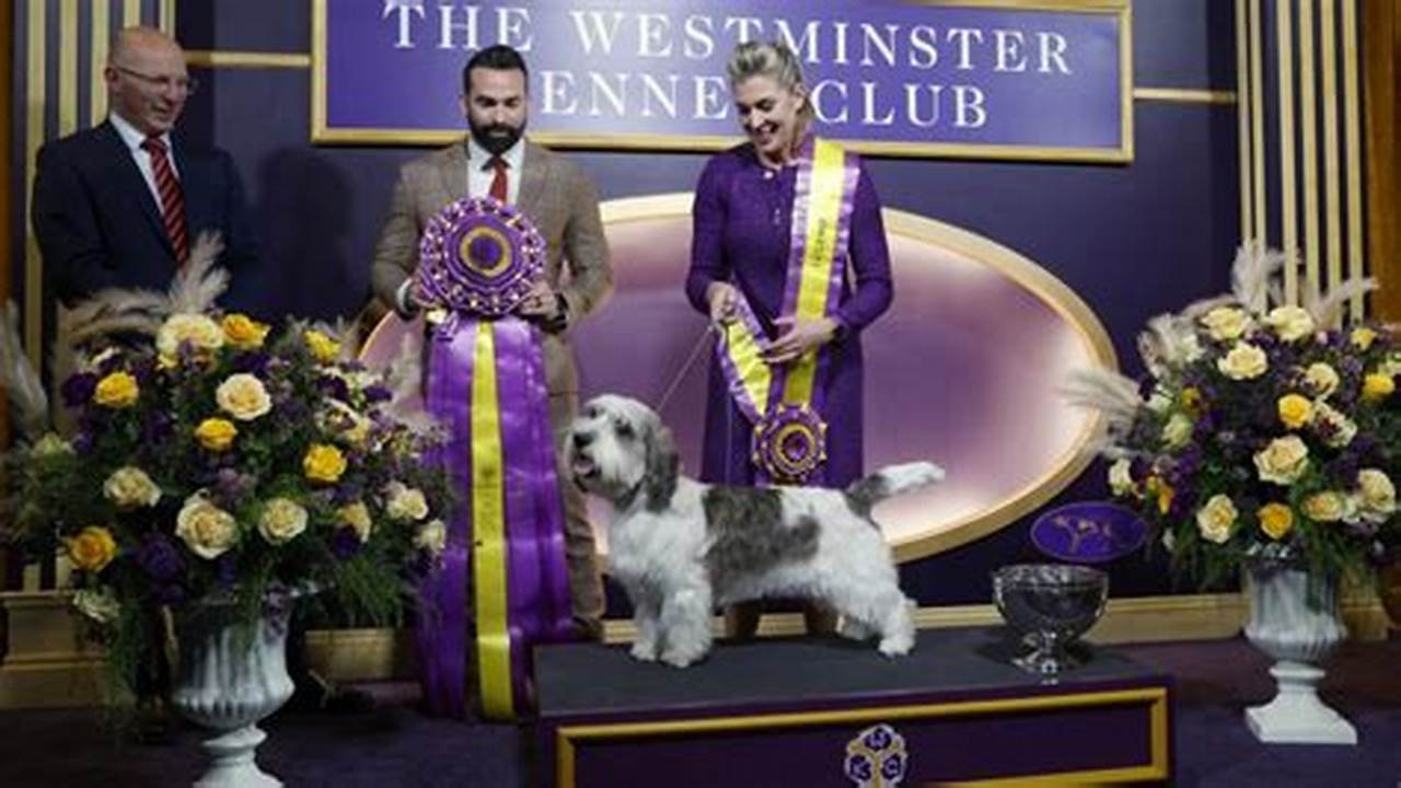 Westminster Dog Show 2024 Winner Buddy Holly