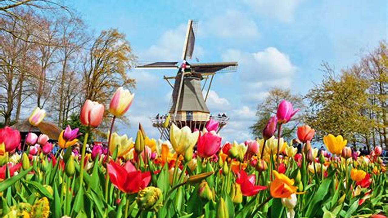 What&#039;s On In Amsterdam Netherlands In April 2024., 2024