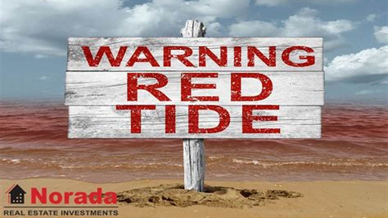 What Is Red Tide Florida 2024