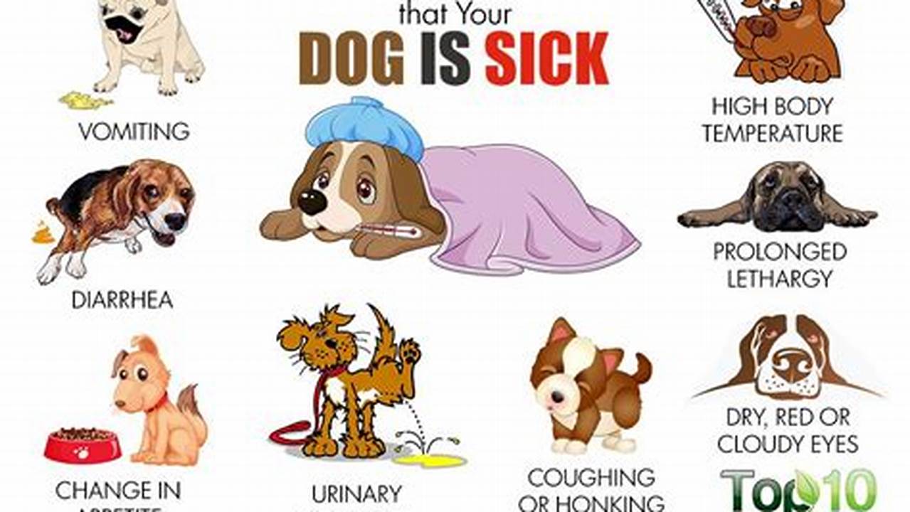 What Is The Dog Sickness Going Around 2024