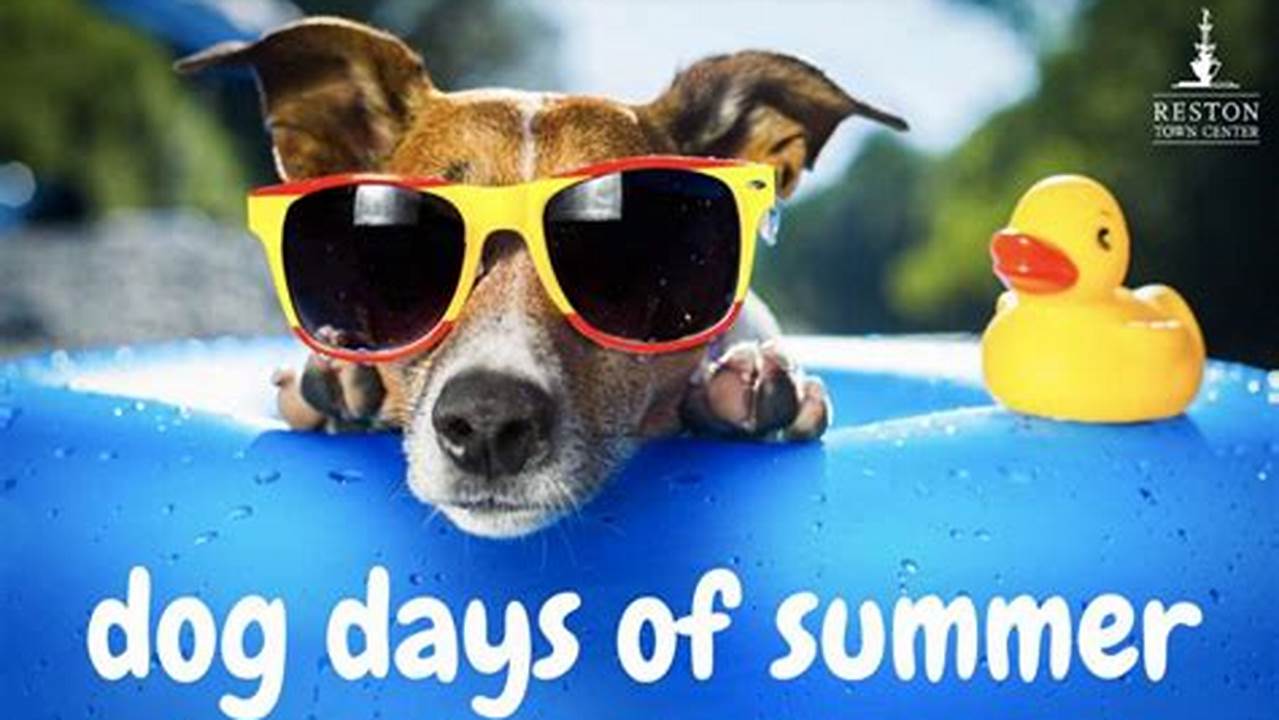 When Are The Dog Days Of Summer In 2024