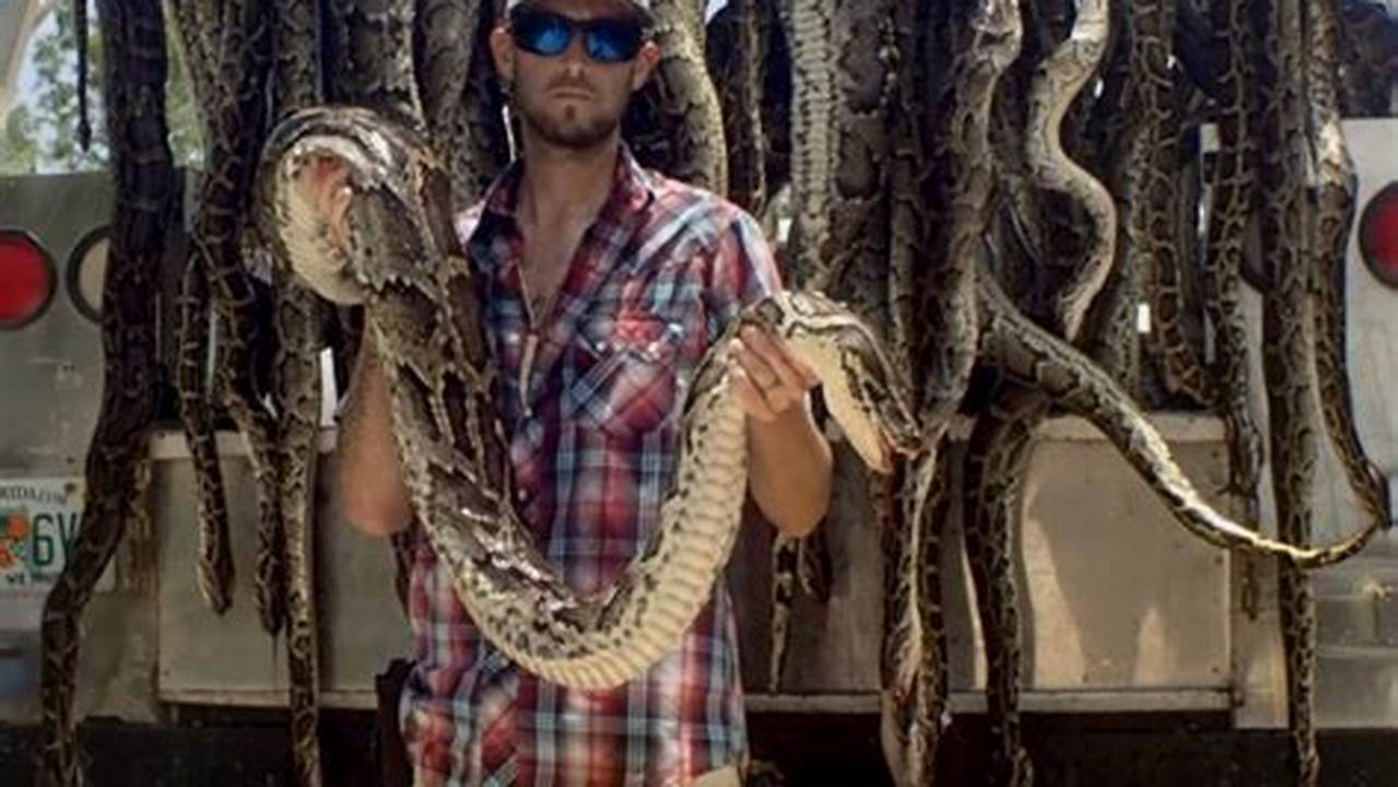 When Is Python Season In Florida 2024