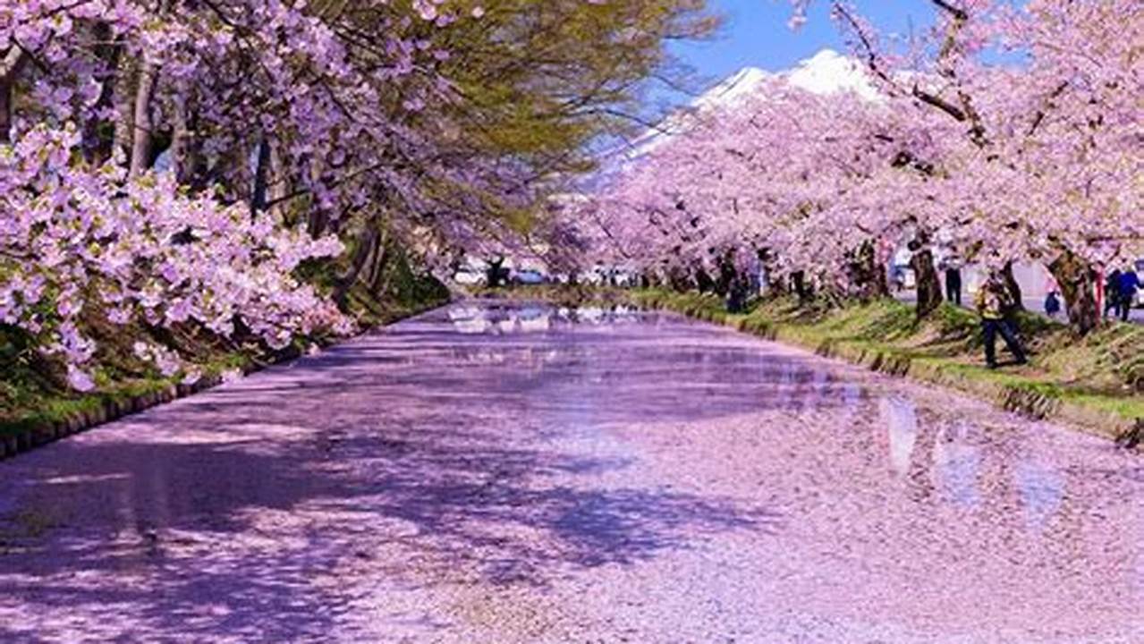 When Is Spring In Japan 2024